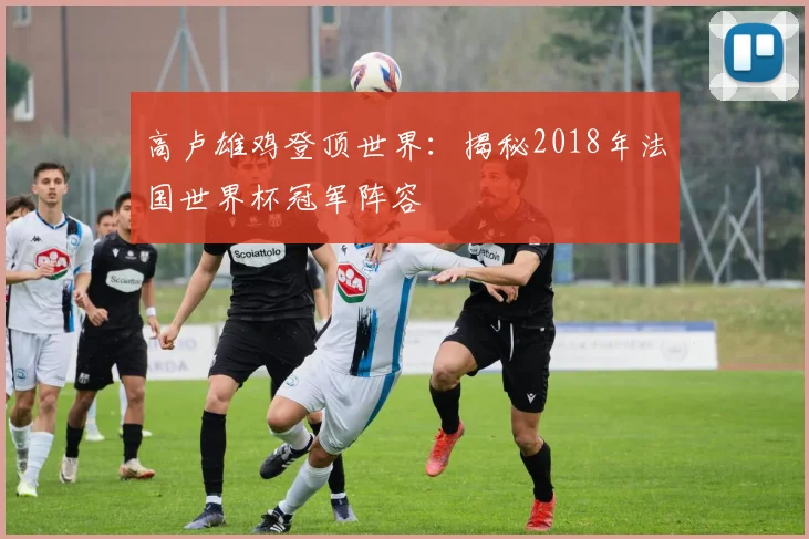 高卢雄鸡登顶世界：揭秘2018年法国世界杯冠军阵容