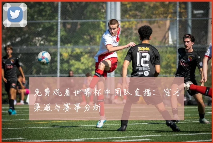 免费观看世界杯中国队直播:官方渠道与赛事分析