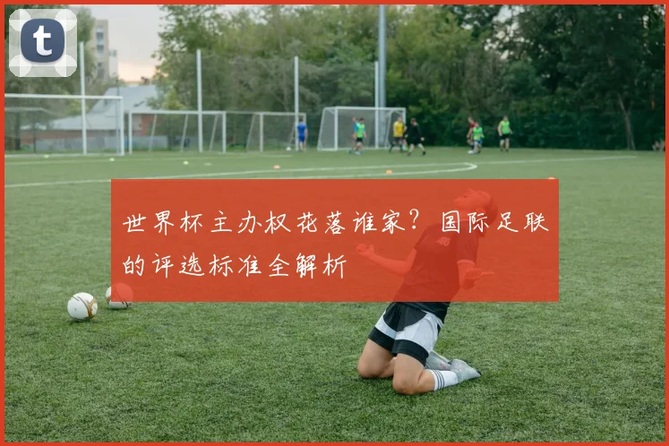 世界杯主办权花落谁家?国际足联的评选标准全解析
