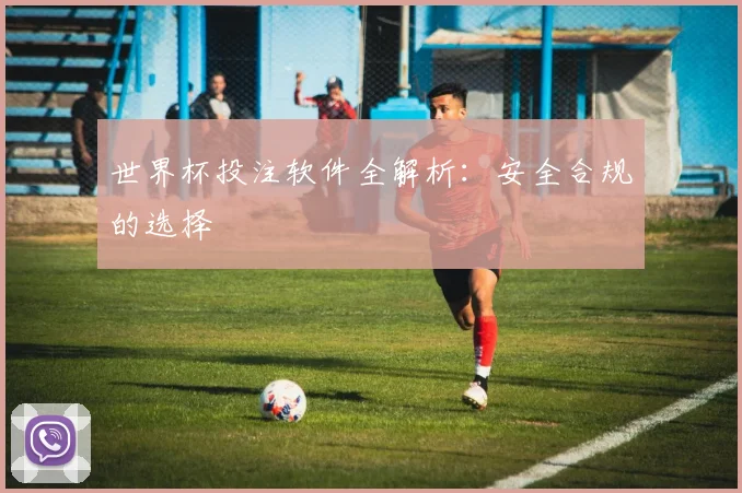 世界杯投注软件全解析：安全合规的选择