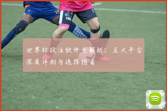 世界杯投注软件全解析：五大平台深度评测与选择指南