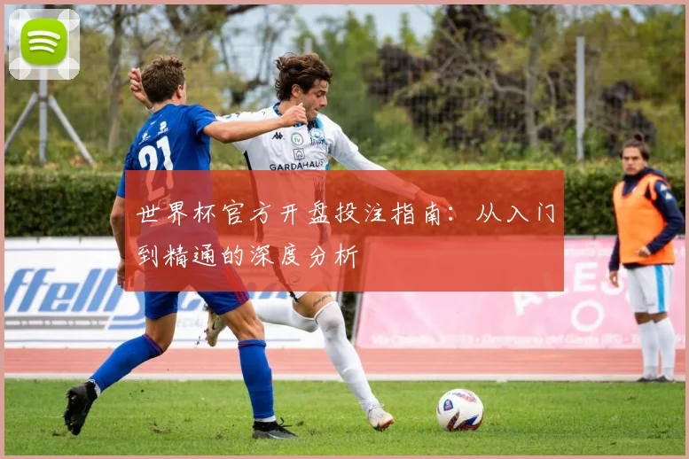 世界杯官方开盘投注指南：从入门到精通的深度分析