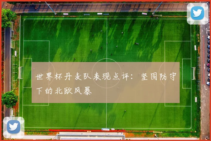 世界杯丹麦队表现点评：坚固防守下的北欧风暴