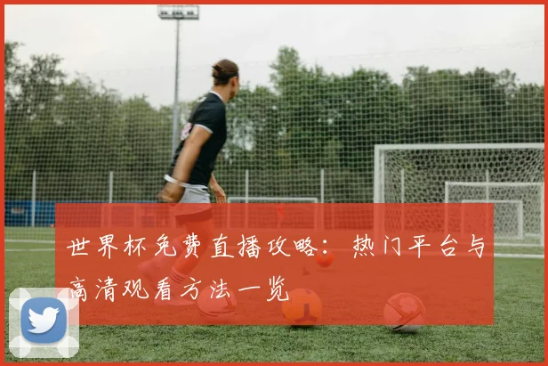 世界杯免费直播攻略：热门平台与高清观看方法一览