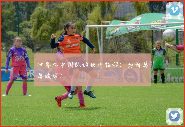 世界杯中国队的坎坷征程：为何屡屡缺席？