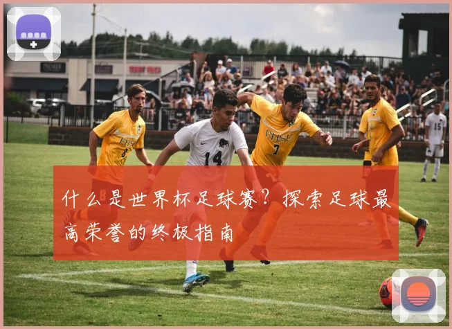 什么是世界杯足球赛？探索足球最高荣誉的终极指南