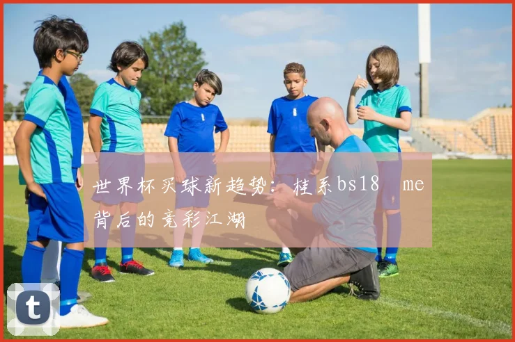 世界杯买球新趋势：桂系bs18婰me背后的竞彩江湖