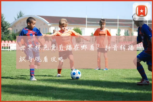 世界杯免费直播在哪看？抖音转播权与观看攻略