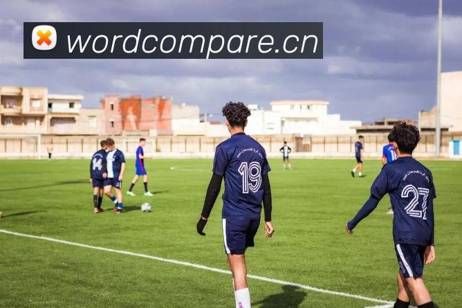 App Interface Preview