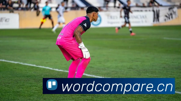 爱游戏ayx官网首页APP 封面图